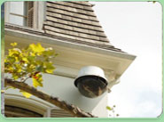electrical installation Forestdale